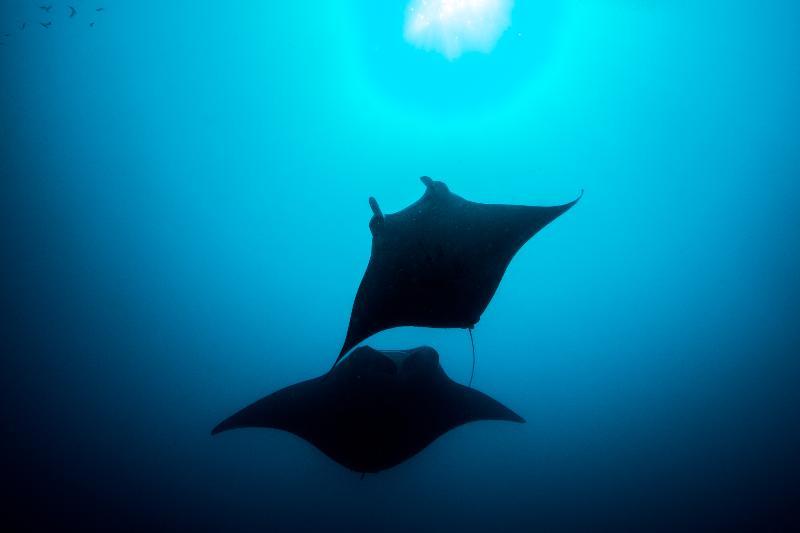 You And Me By Cocoon Maldives Muravandhoo Exteriör bild